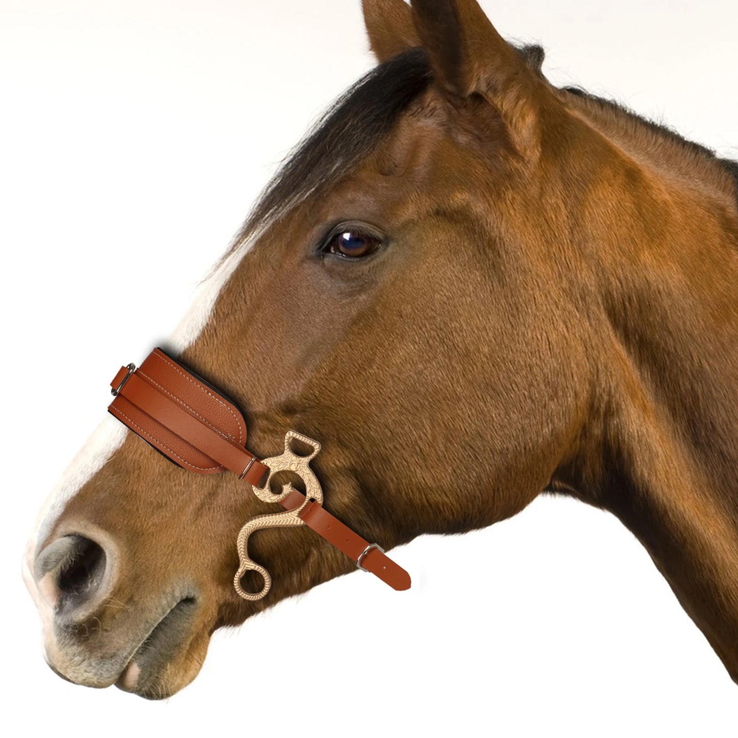 Horse Bit Bridle Hackamore Brown English Western Nose Curb Chain