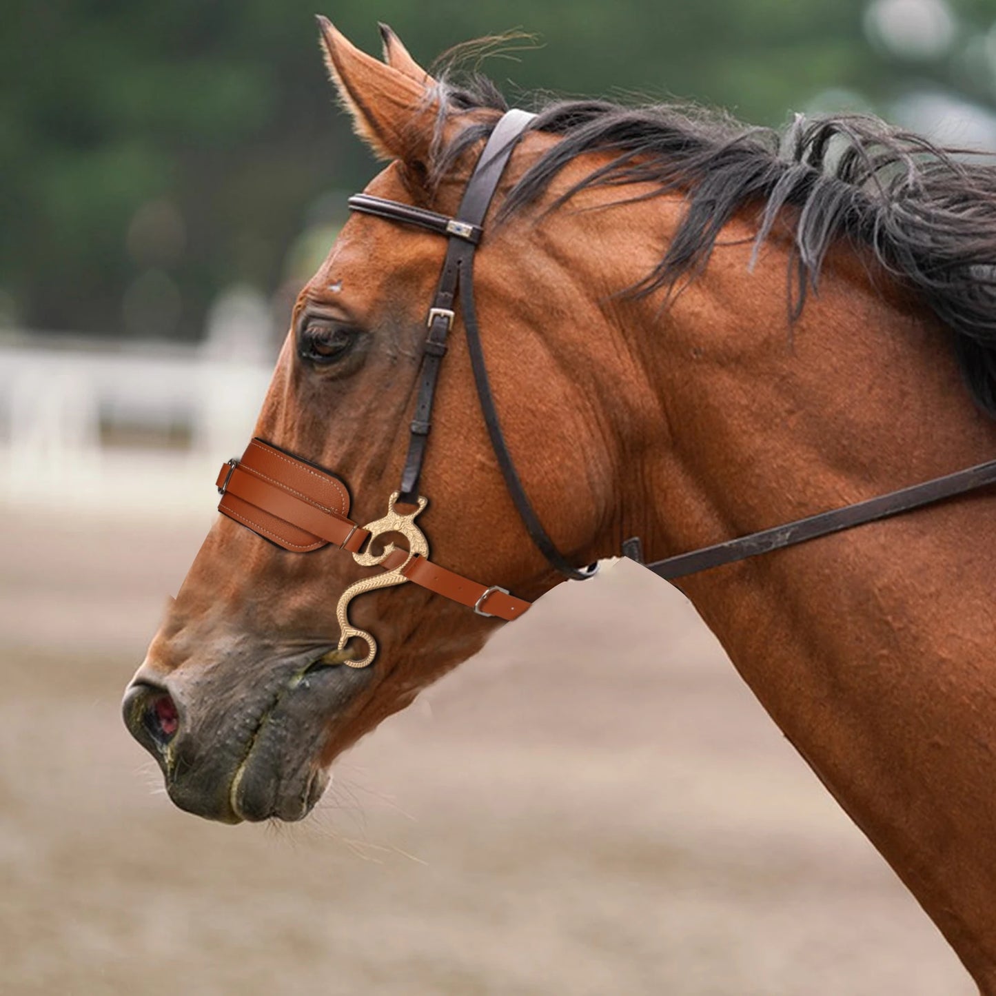 Horse Bit Bridle Hackamore Brown English Western Nose Curb Chain
