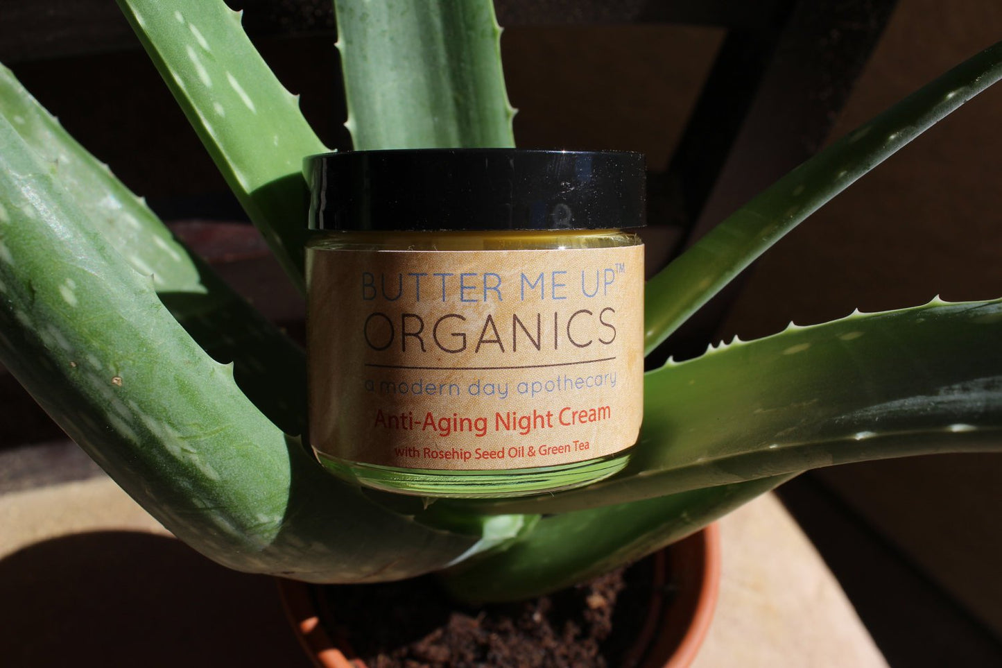 Organic Restorative Night Cream
