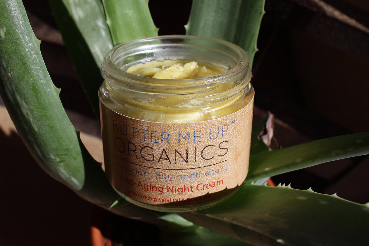 Organic Restorative Night Cream